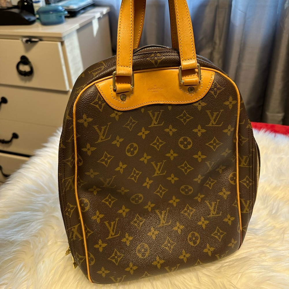 Louis Vuitton shoe bag in monogram